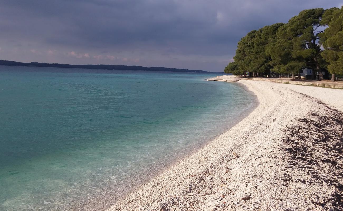 Foto af Fazana beach med let fin sten overflade