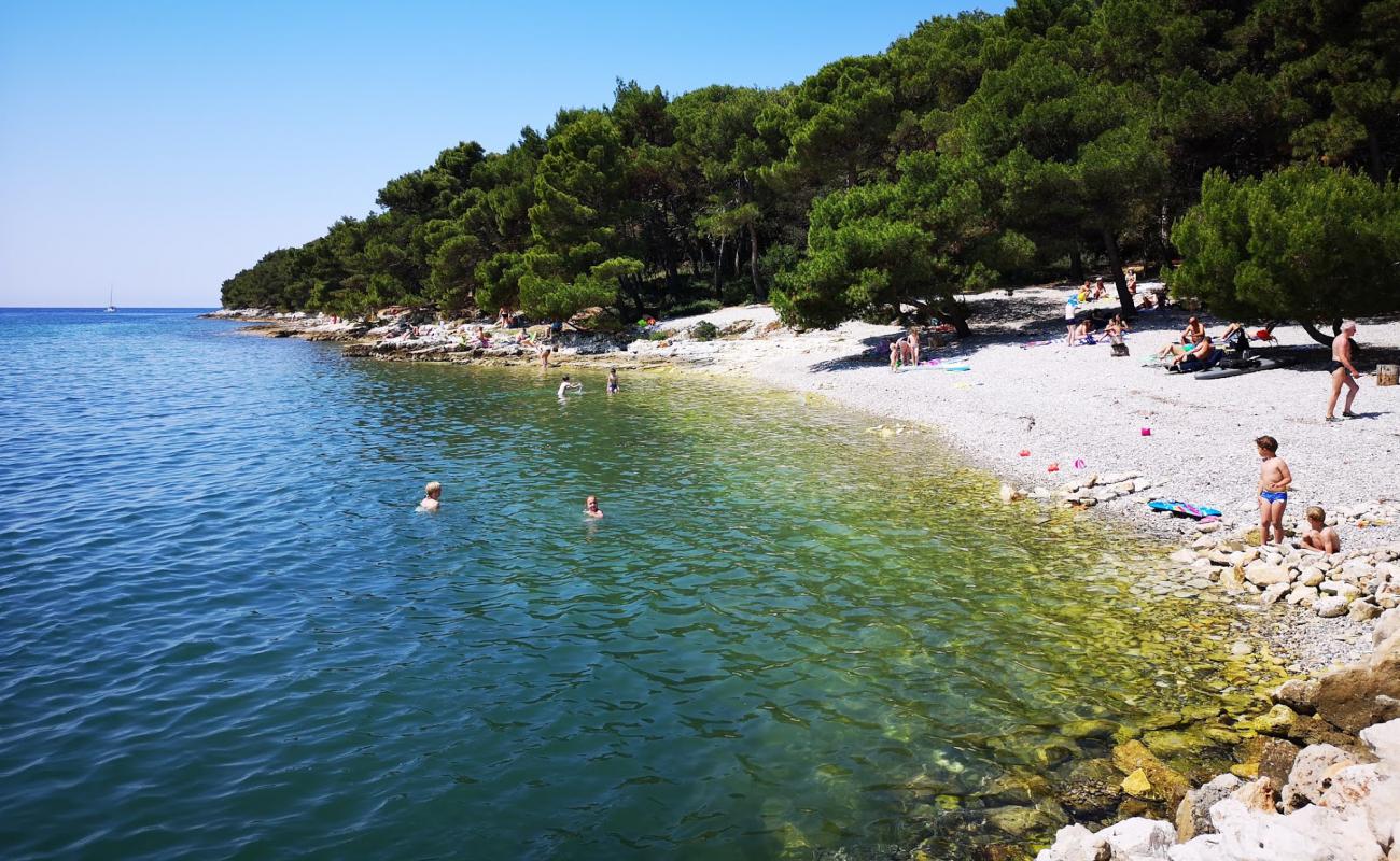 Foto af Paltana beach med grå sten overflade