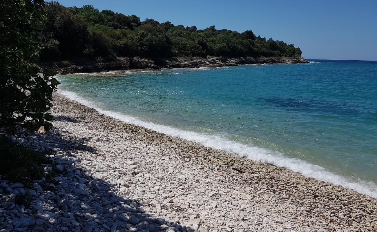 Foto af Polje beach med sten overflade