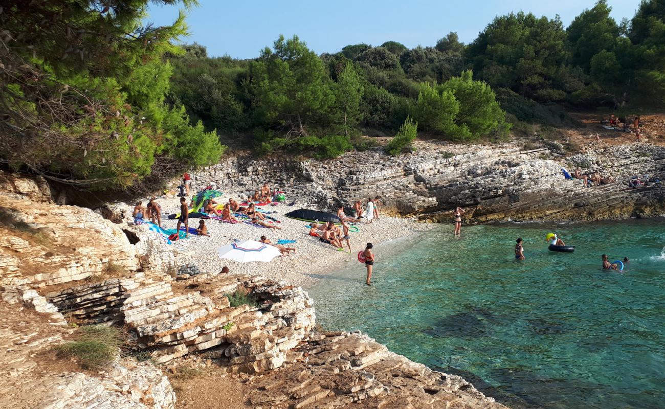 Foto af Plovanije beach med let sten overflade