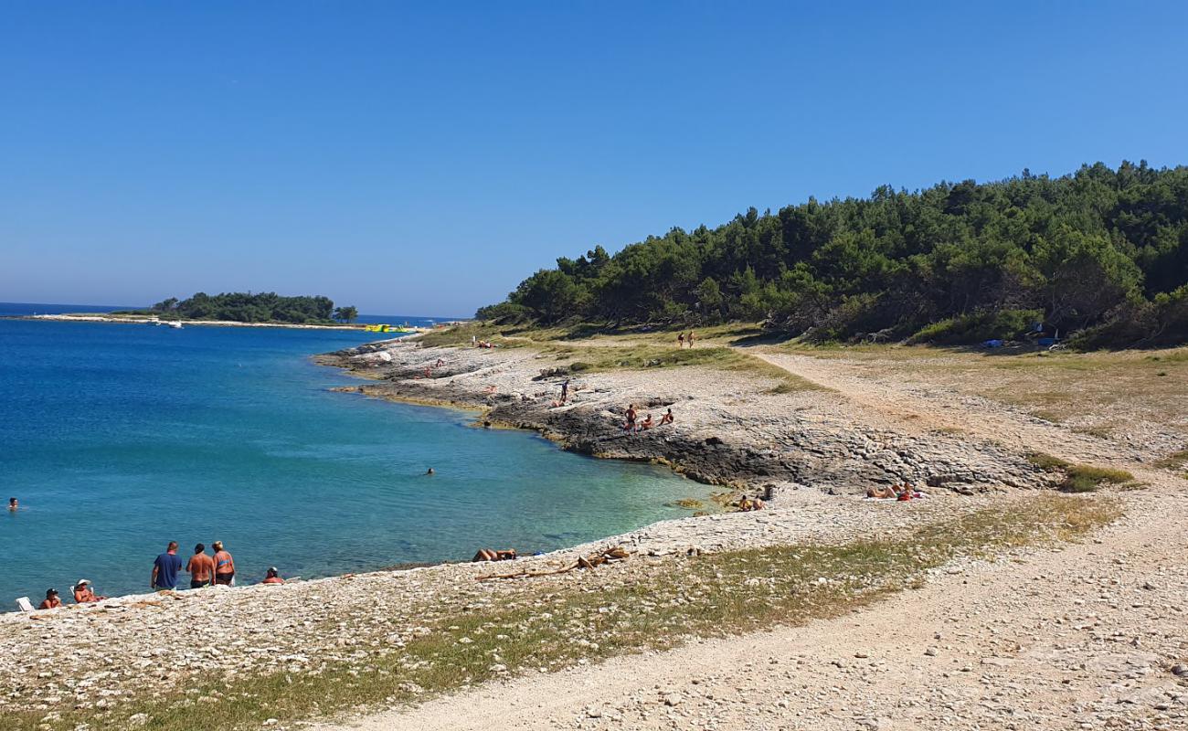 Foto af Drazice beach med let sten overflade