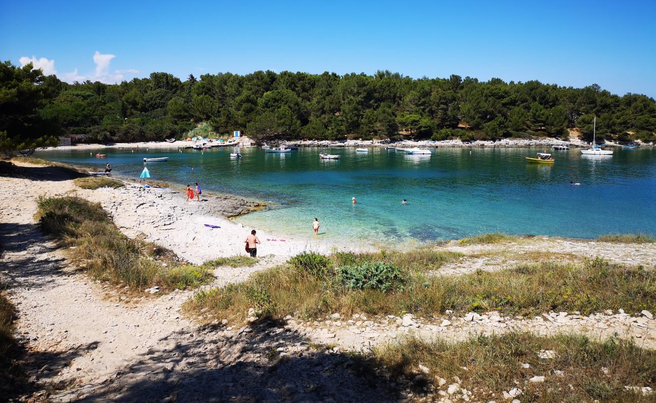 Foto af Lokva beach med let sten overflade