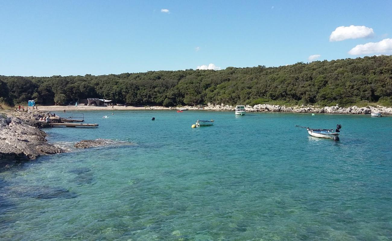 Foto af Kale beach med grå sten overflade