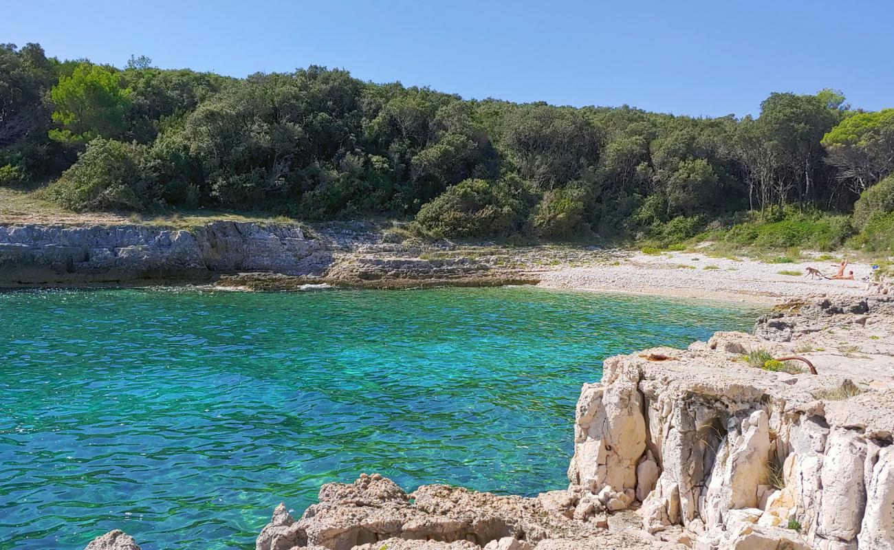 Foto af Zaglenicina beach med let sten overflade