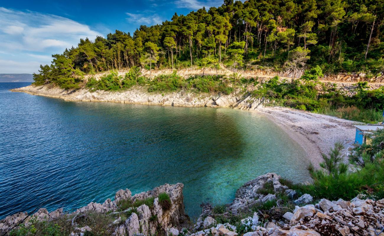 Foto af Drenje beach med let sten overflade