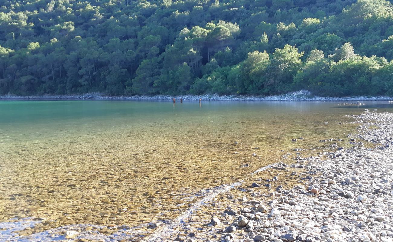 Foto af Prtlog beach med sten overflade