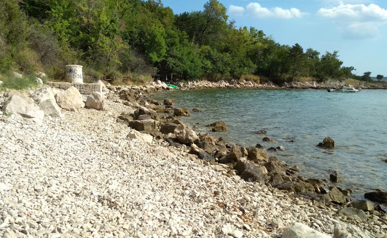 Foto af Trstena beach med sten overflade