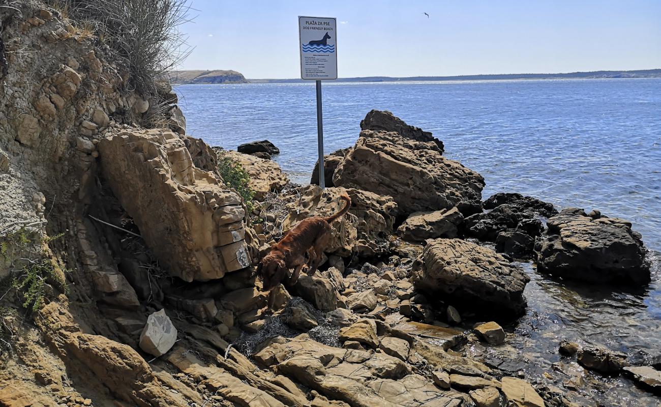 Foto af Dogs beach med sten overflade