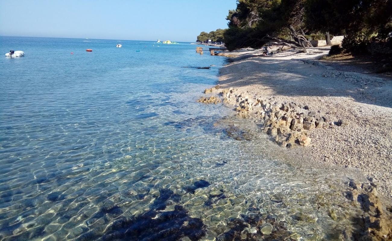 Foto af Radman beach med sten overflade