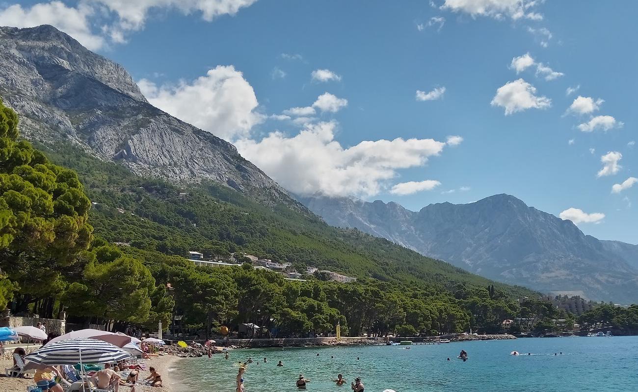 Foto af Punta Rata Strand med let fin sten overflade