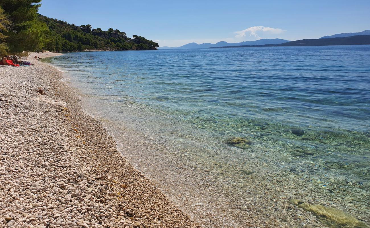 Foto af Djevicanska beach med let sand og småsten overflade