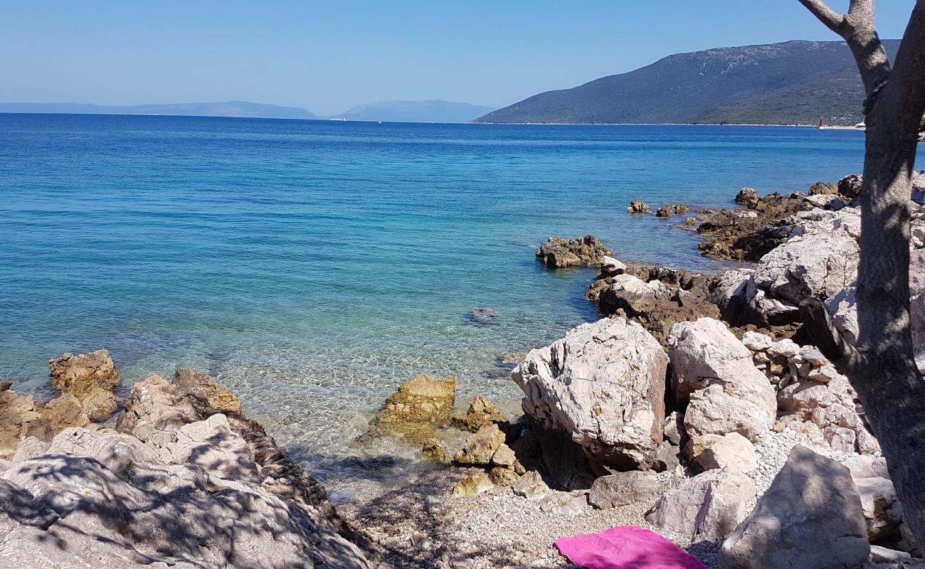 Foto af Divlja beach med sten overflade