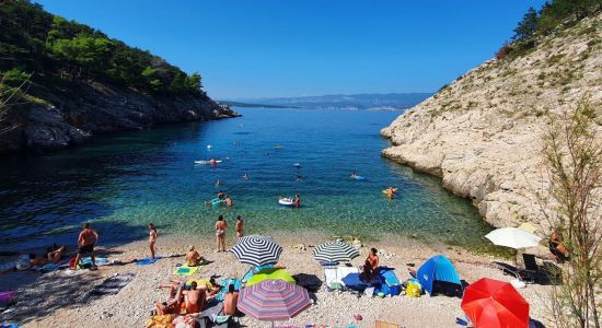 beach Kozica