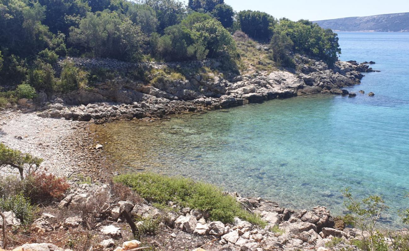 Foto af St. George wild beach med sten overflade