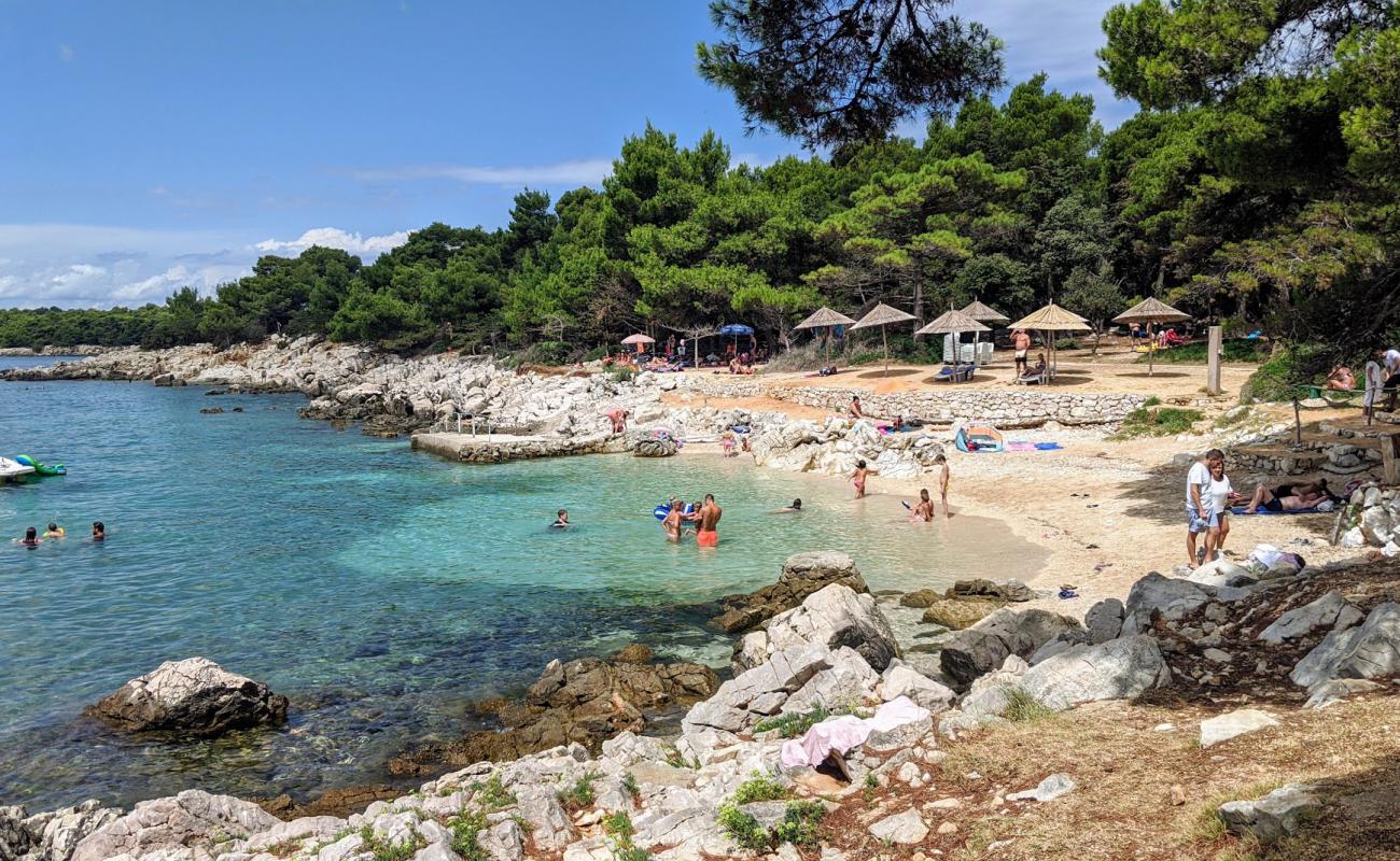 Foto af Tara beach med let fin sten overflade