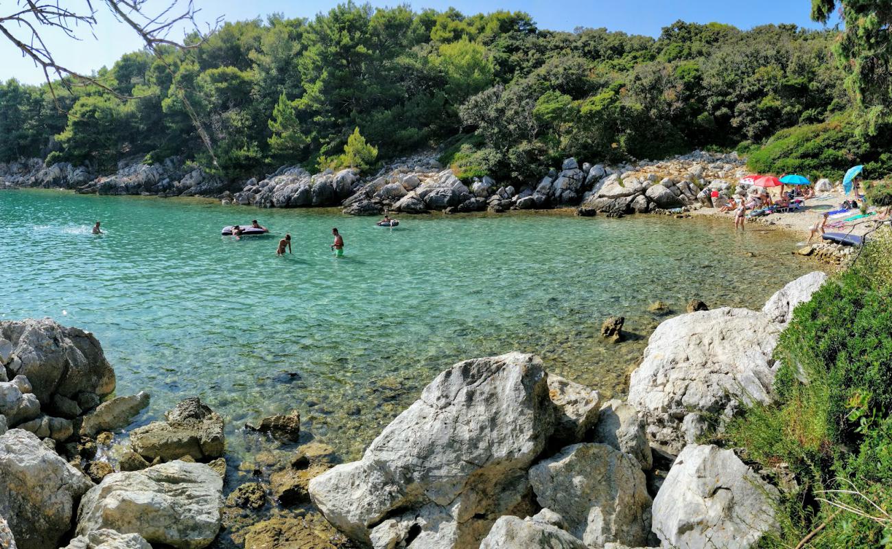 Foto af Jelenovica beach med sten overflade