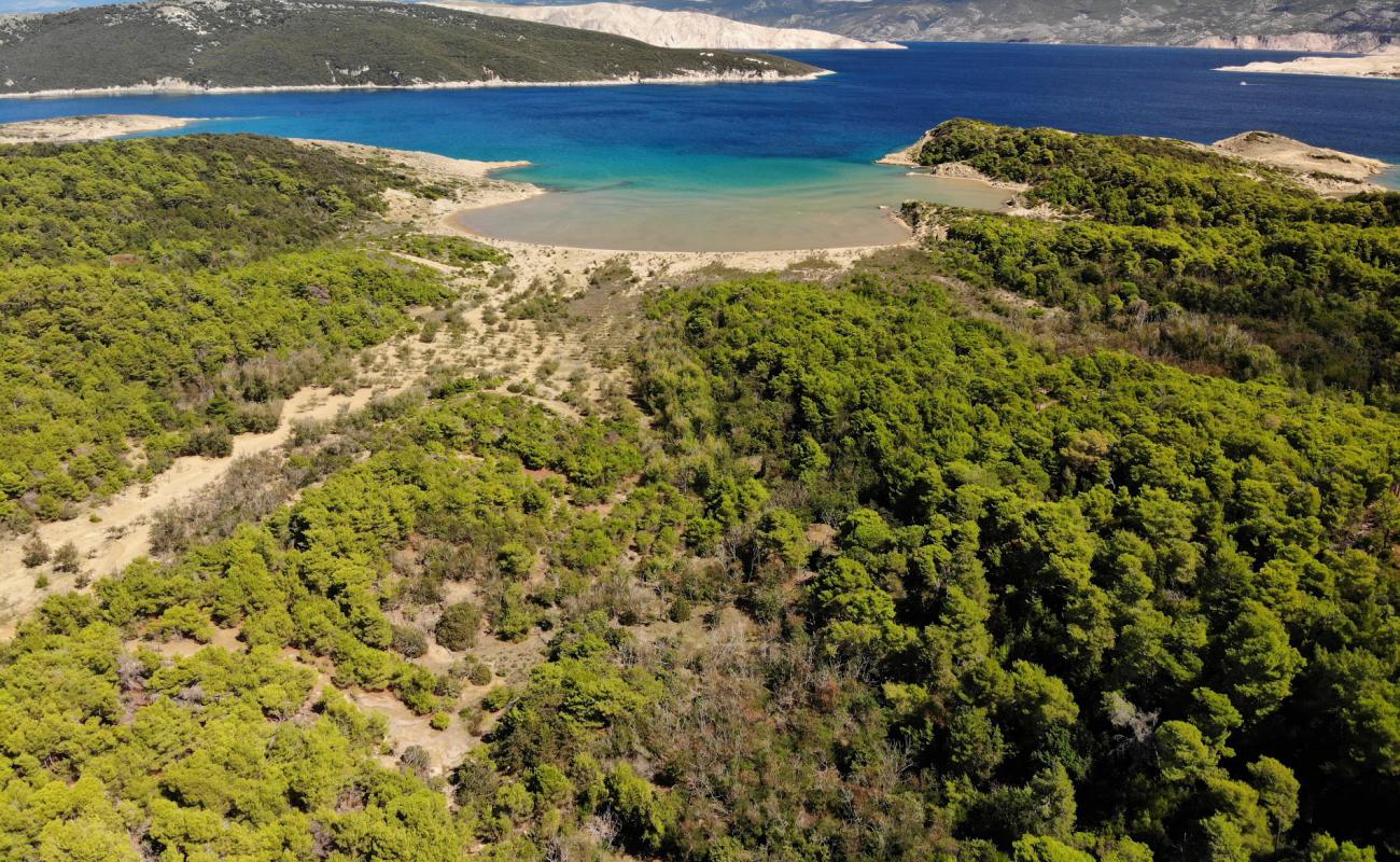 Foto af Sahara beach med lys sand overflade