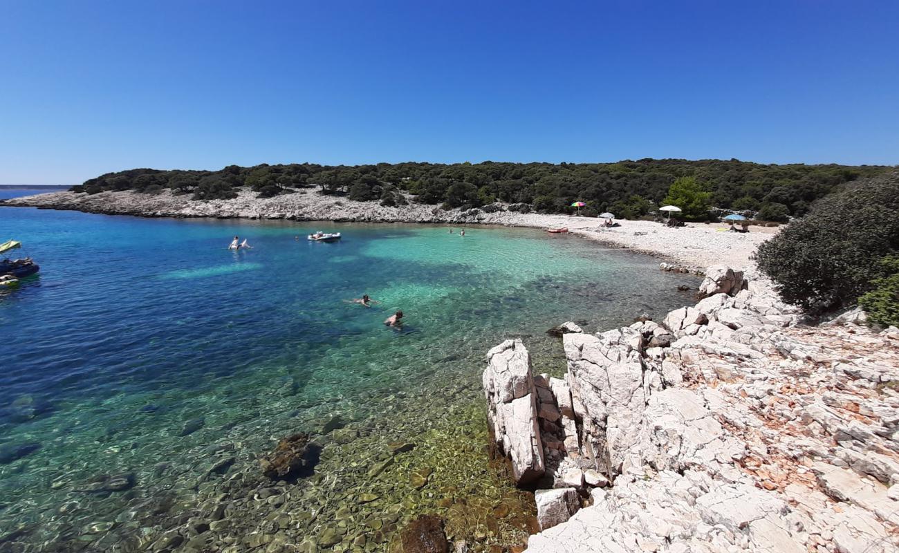 Foto af Marlin beach med let sten overflade