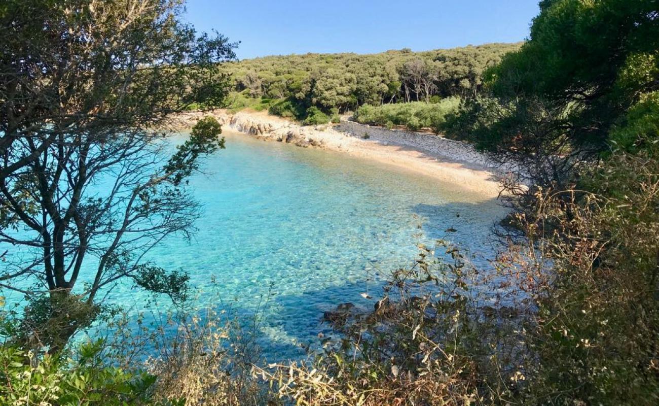 Foto af Dudici beach med let sten overflade