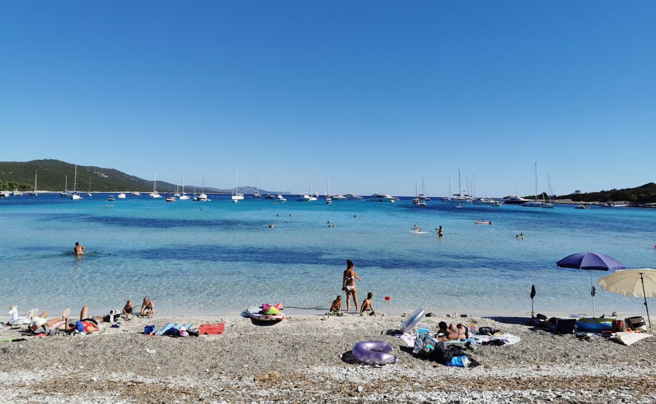 Foto af Sakarun strand med let sten overflade