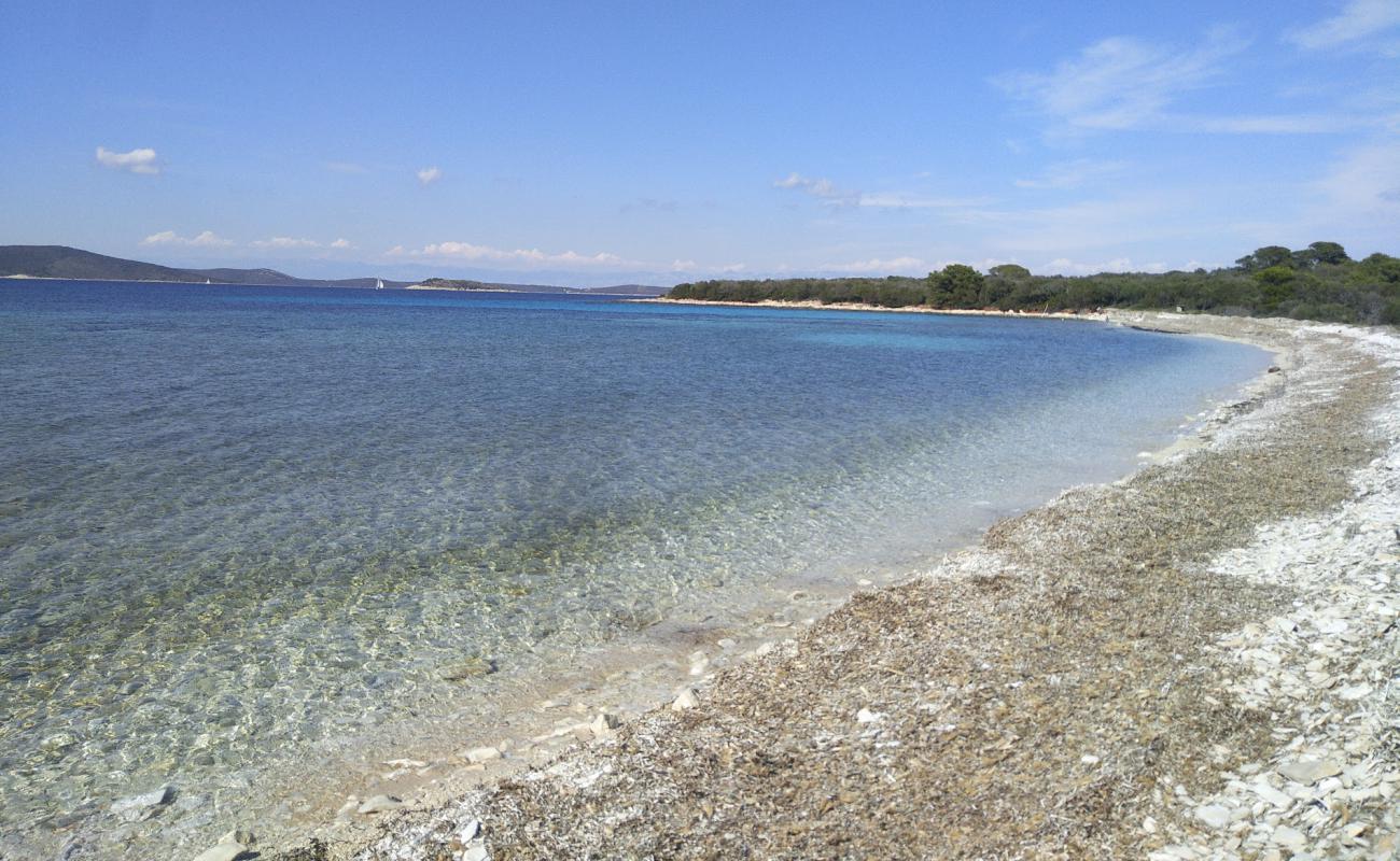 Foto af Natural Bridge beach med let sten overflade