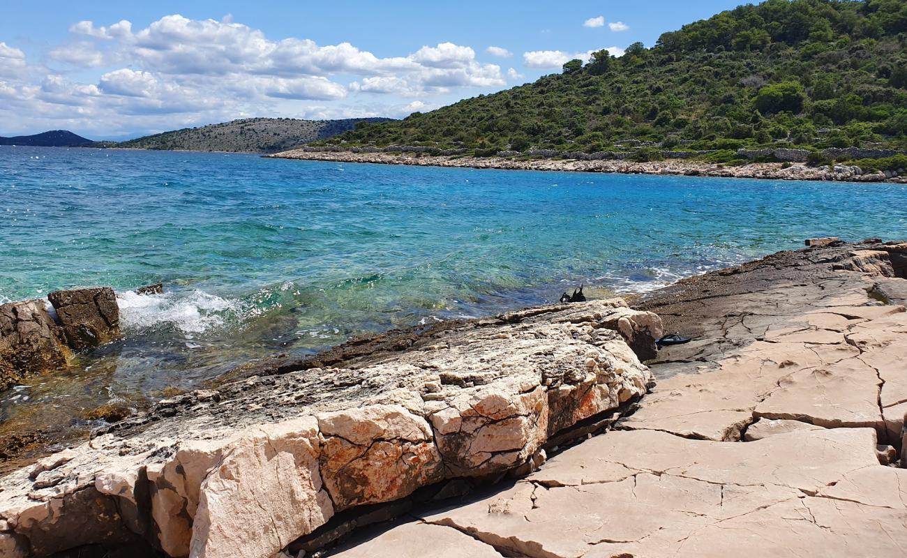 Foto af Portic beach med sten overflade