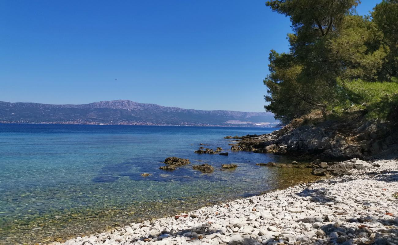 Foto af Dimitry beach med let sten overflade