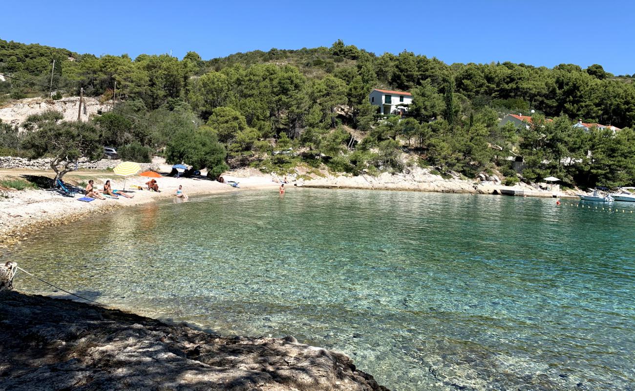 Foto af Gornja Krusica beach med let sten overflade