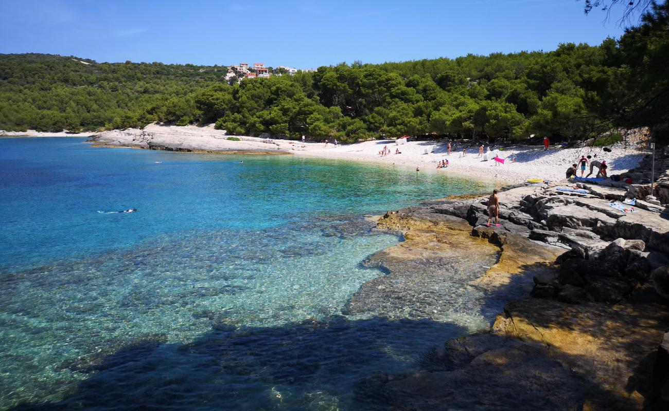 Foto af Srebrna beach med let sten overflade