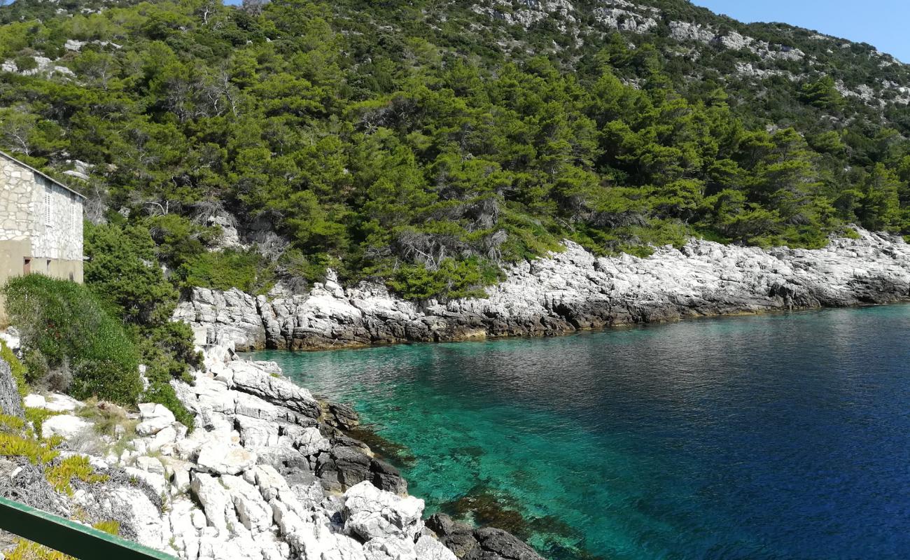 Foto af Barje beach med sten overflade