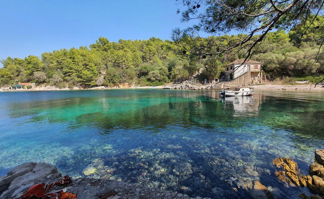 Foto af Krucica beach med let sten overflade