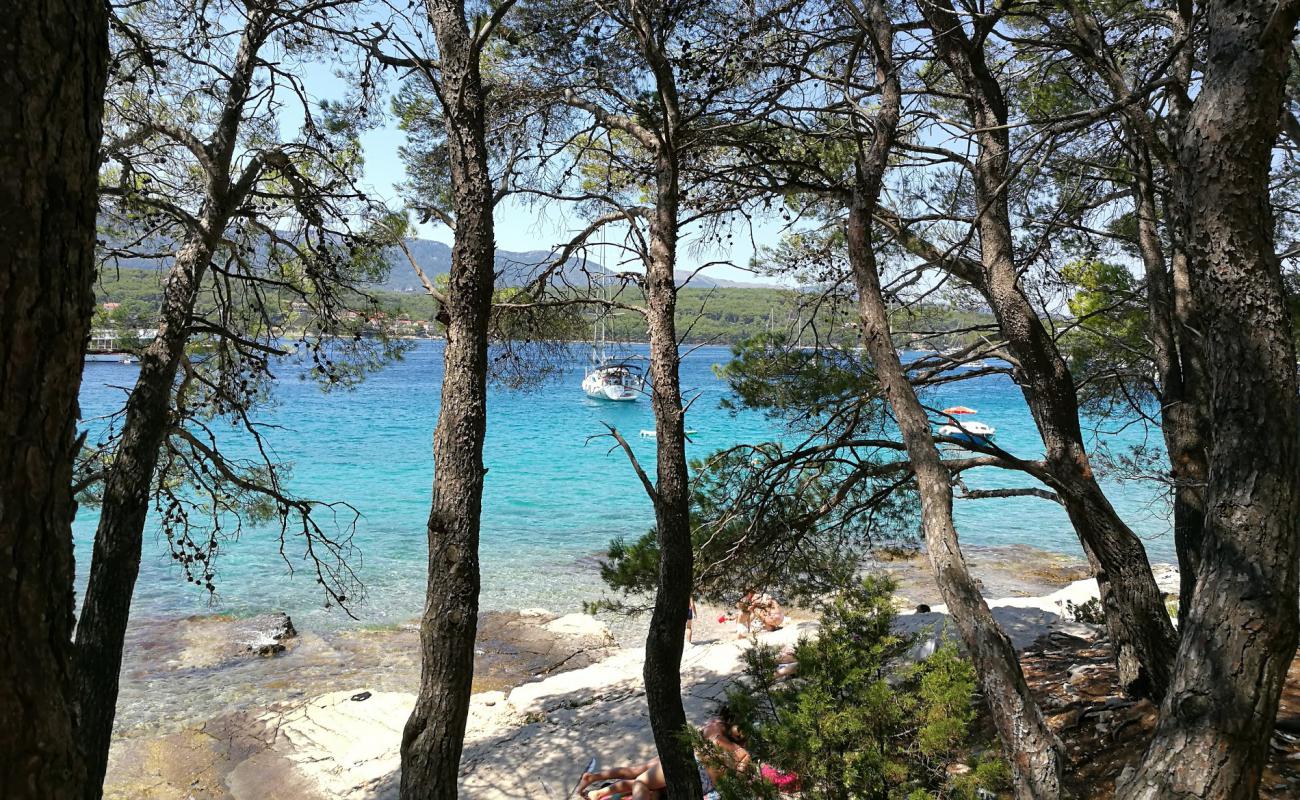 Foto af Paklena beach med sten overflade