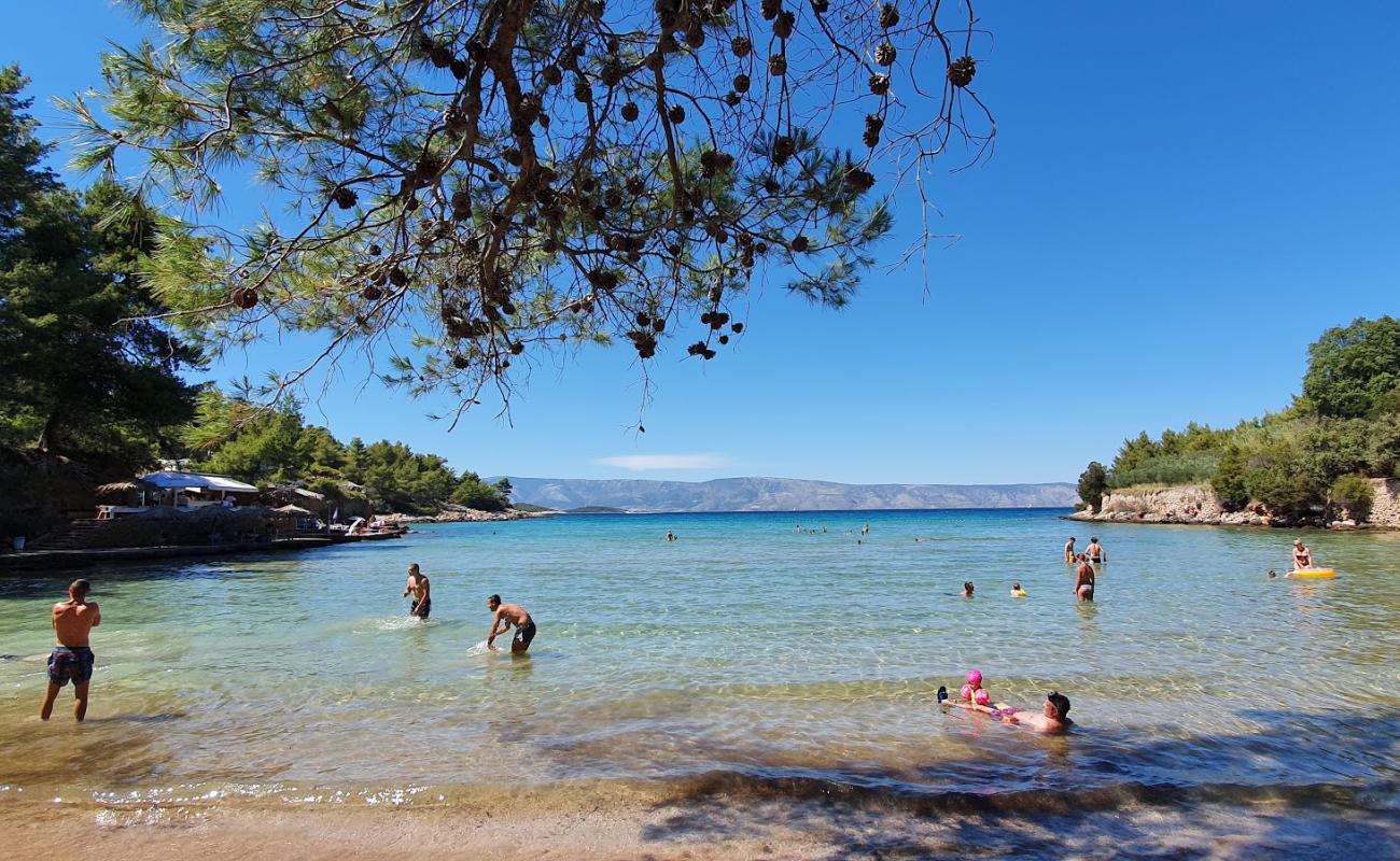 Foto af Plaza Grebisce med lys sand overflade