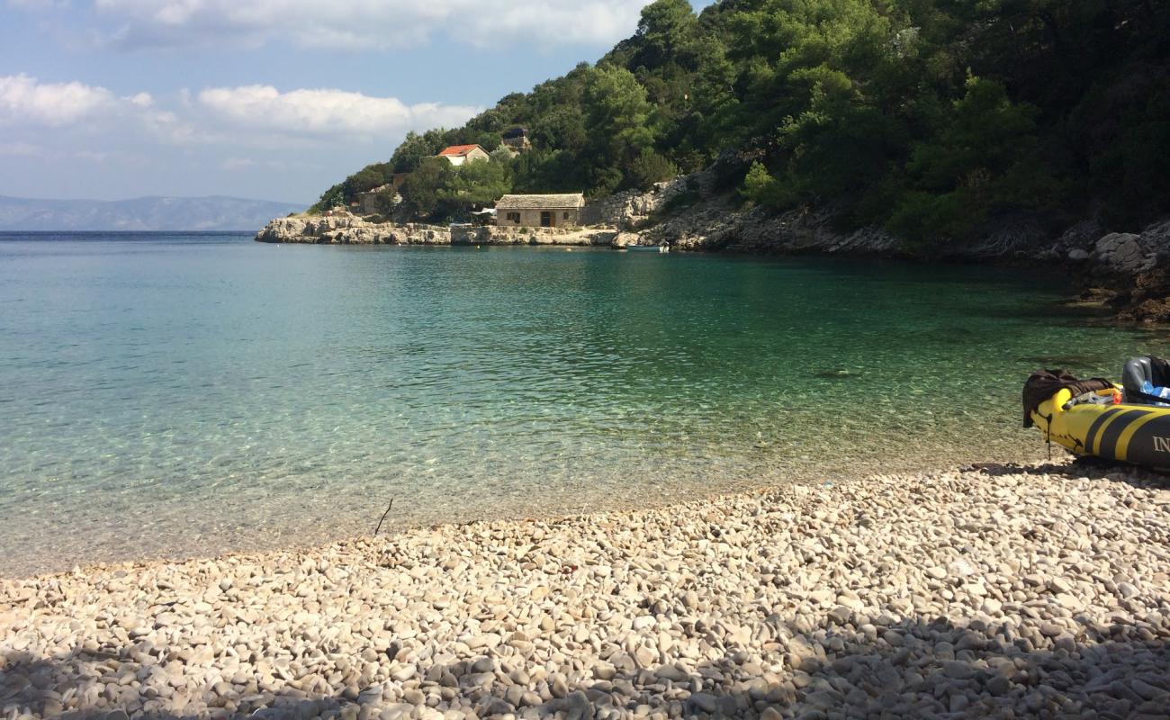 Foto af Zecja beach med let sten overflade