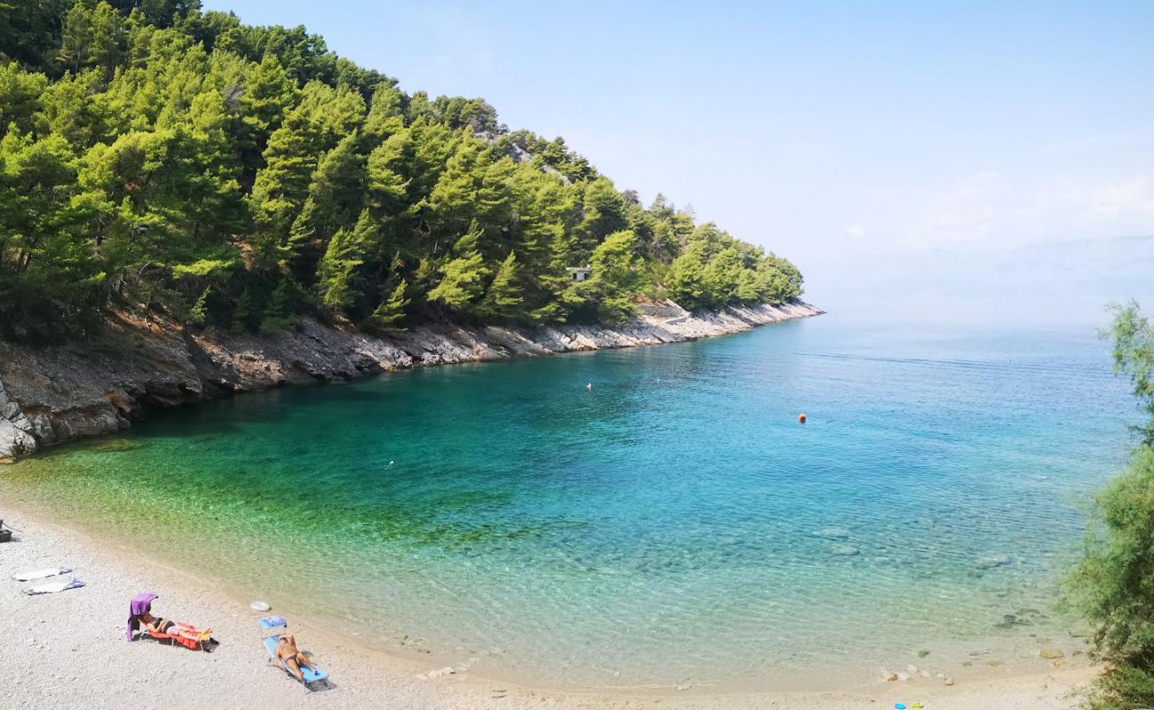 Foto af Mala Pogorila beach med let sten overflade