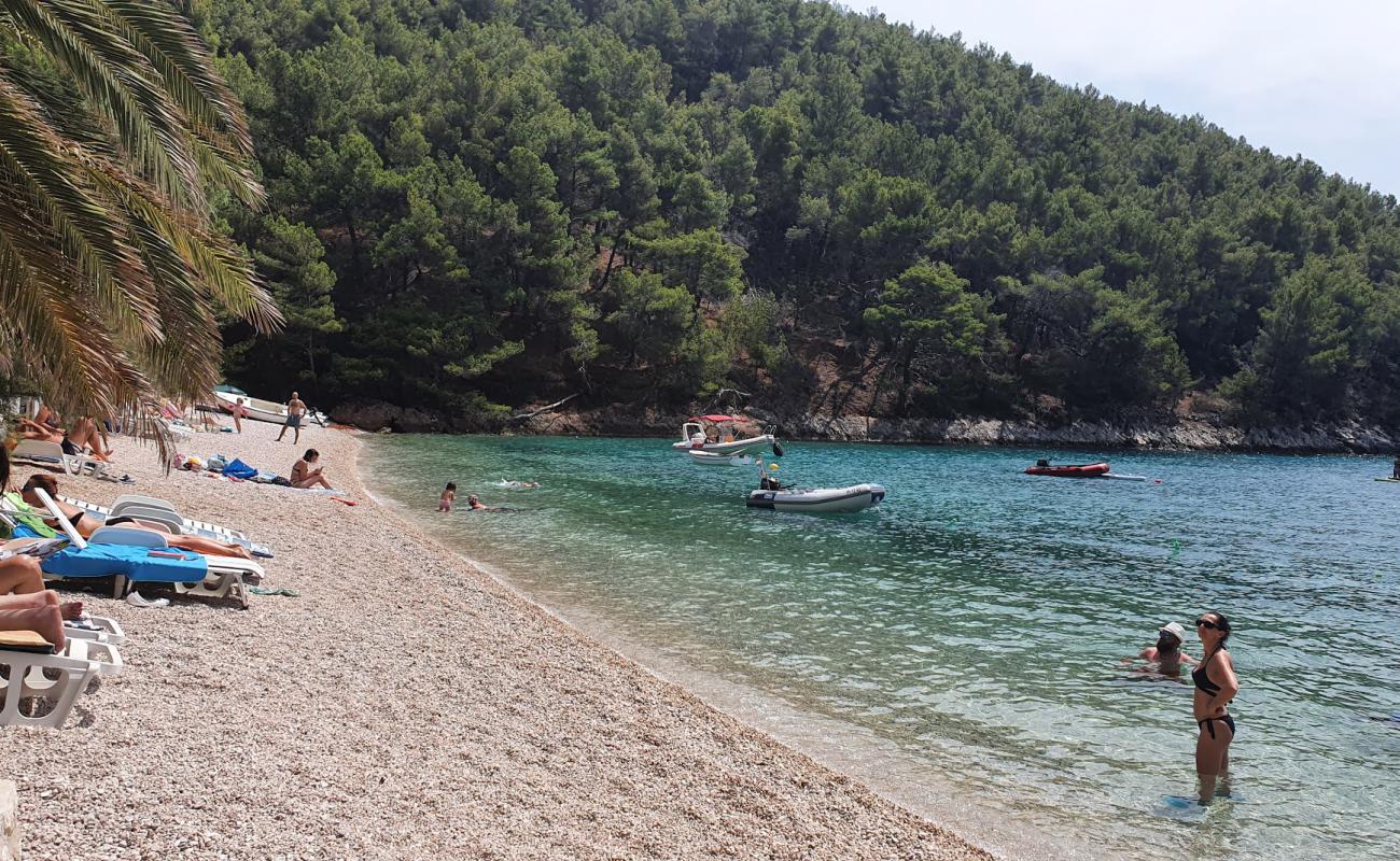 Foto af Smokvina beach med let sten overflade