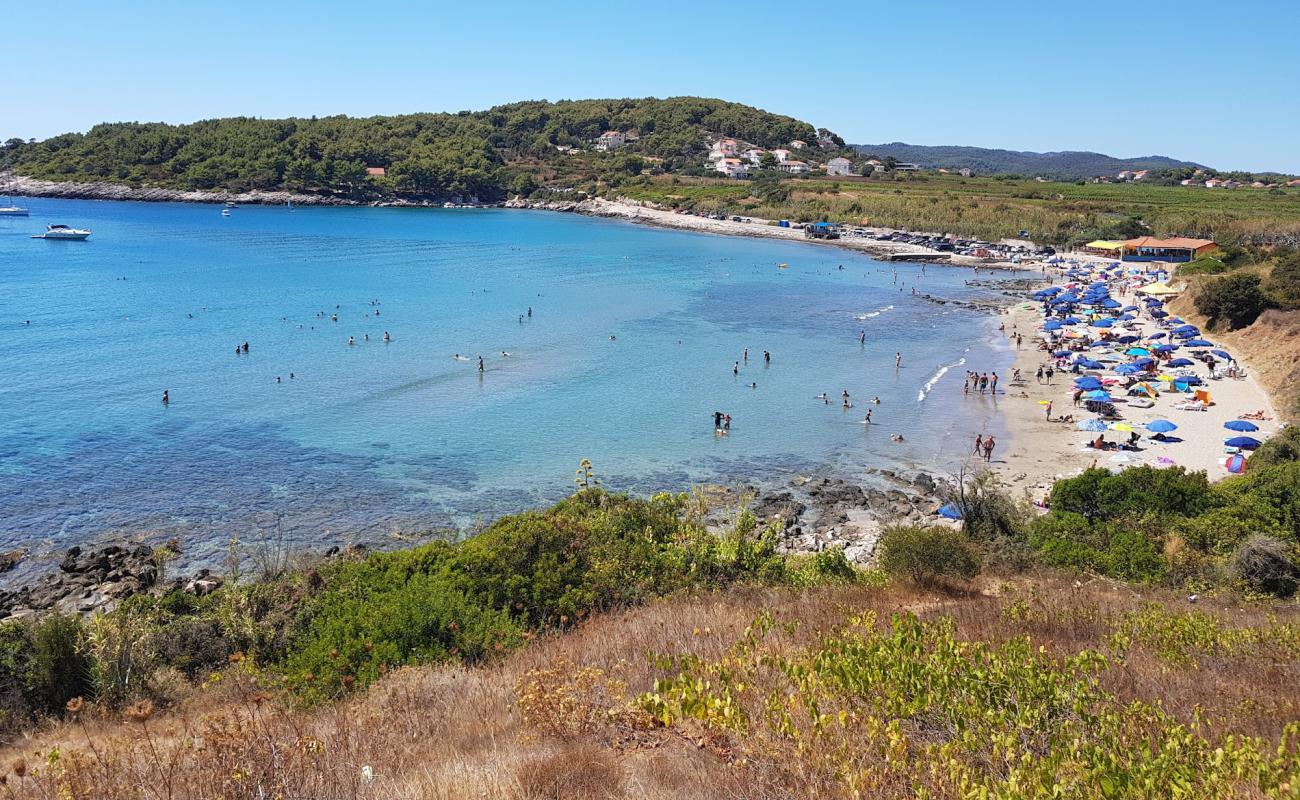 Foto af Vela Przina beach med lys sand overflade