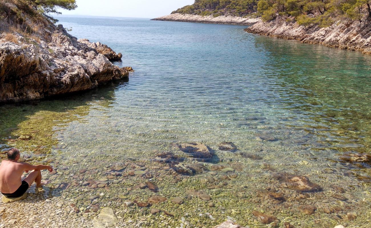 Foto af Paradiso beach med let sten overflade