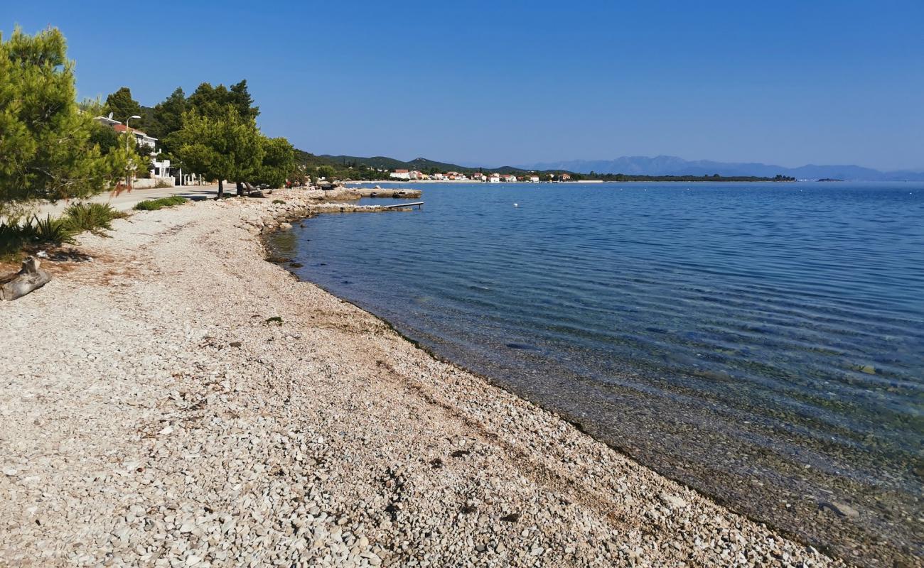 Foto af Drace beach med let sten overflade