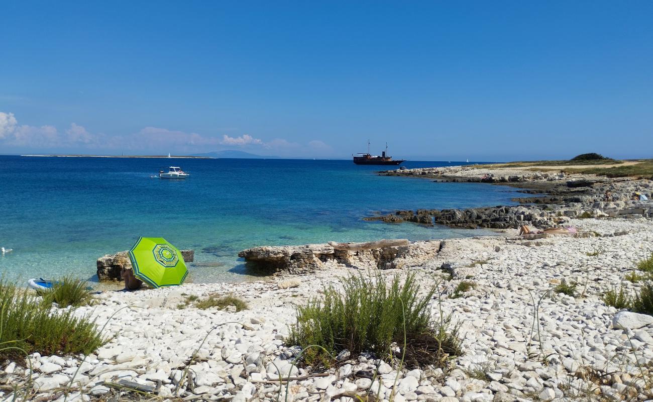 Foto af Skara Beach med sten overflade