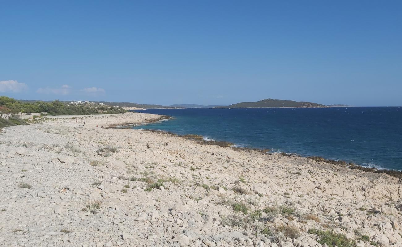 Foto af Zaline Beach med sten overflade