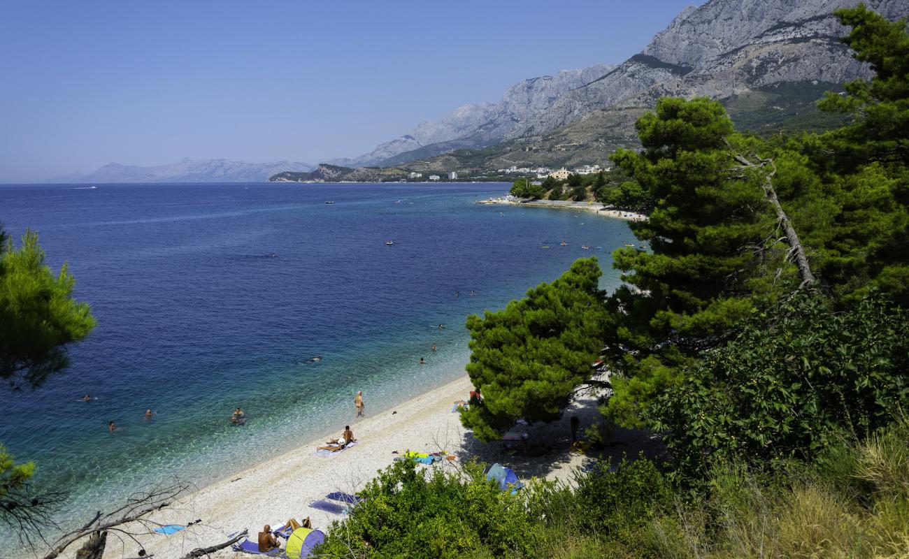 Foto af Dracevac Beach med let sten overflade