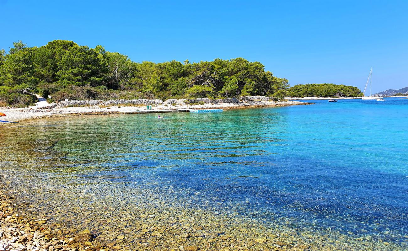 Foto af Mlini Beach med sten overflade