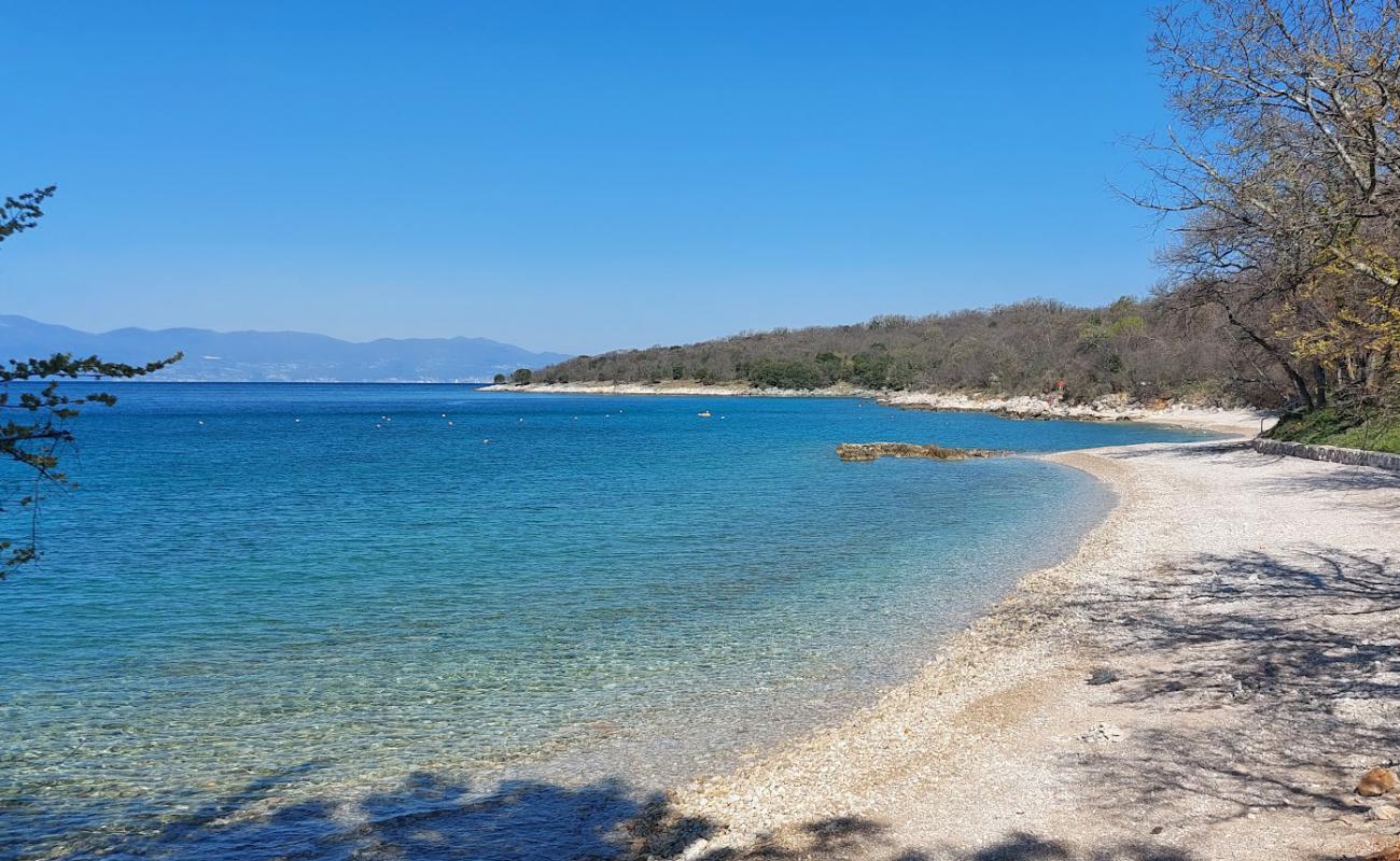 Foto af Dog Beach Atea Camping med grå sten overflade