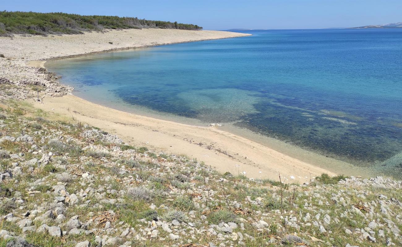 Foto af Povljana Naturist Beach med lys sand overflade