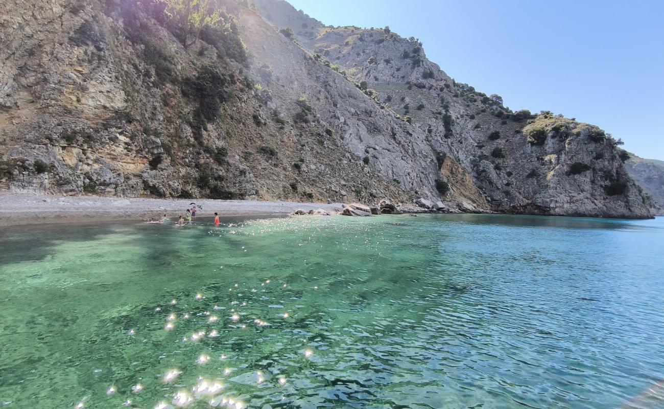 Foto af Beach St. Roger med sten overflade