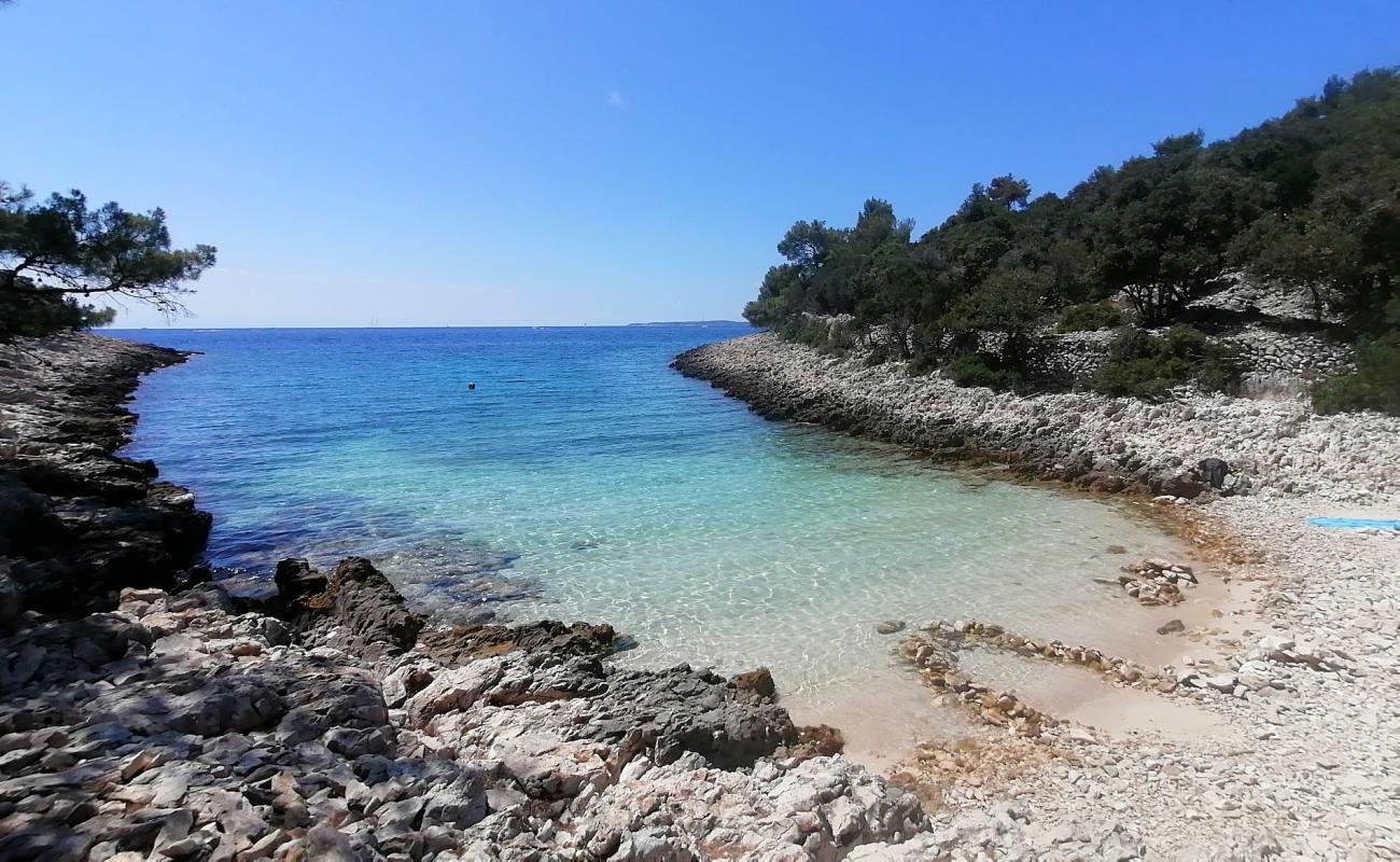 Foto af Cuanguski Zaljev med sten overflade