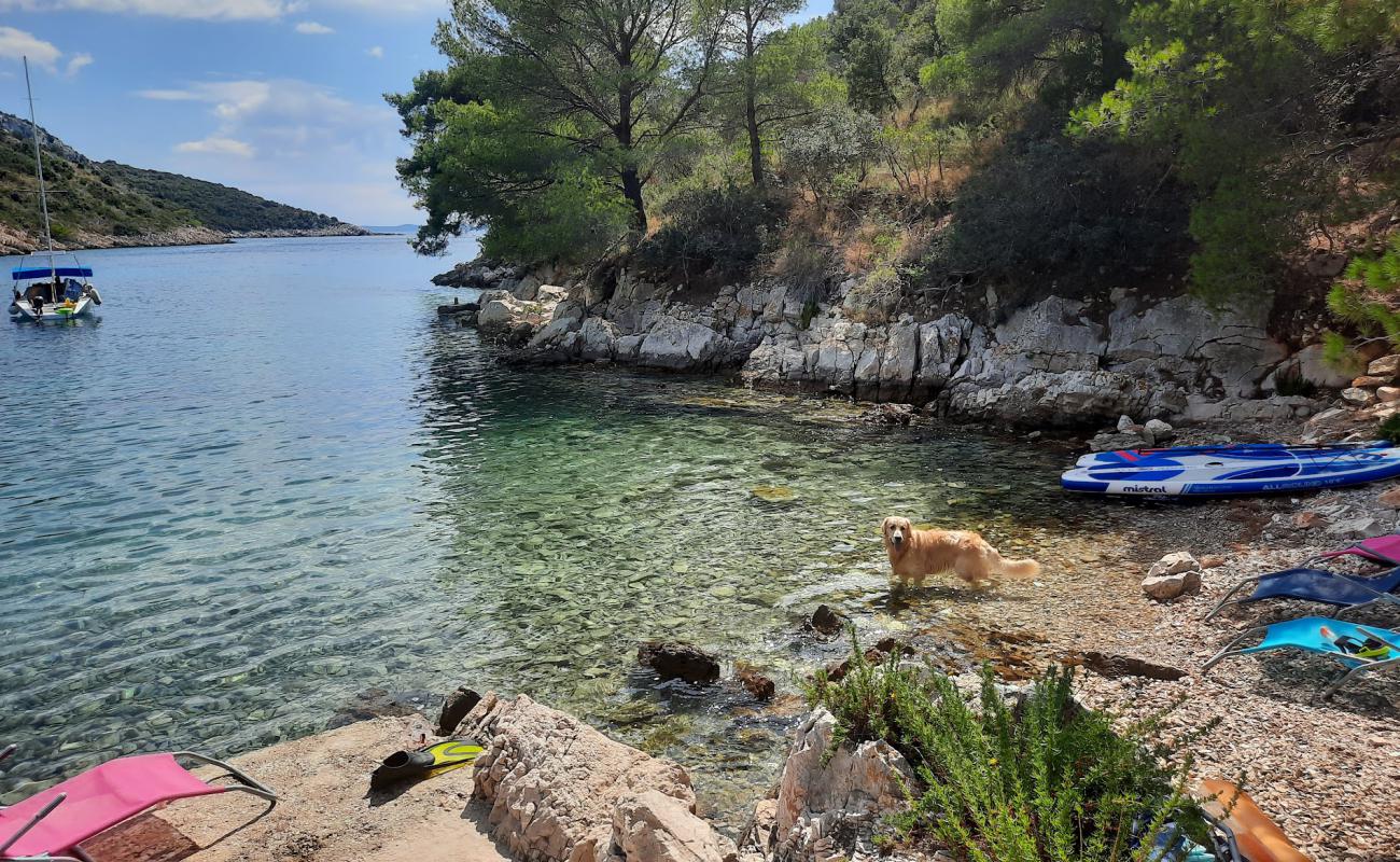 Foto af Beach Travna med sten overflade