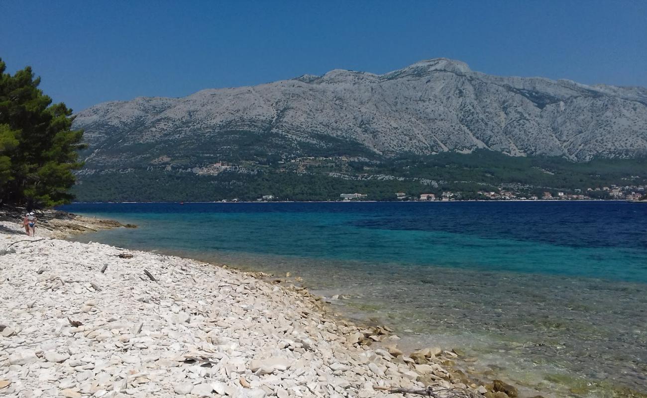 Foto af Badija Pebble Beach med sten overflade