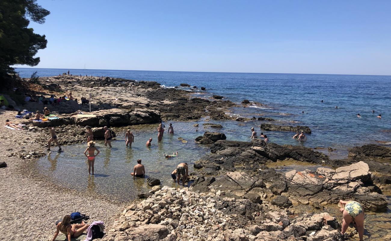 Foto af Lokrum Main Beach med sten overflade